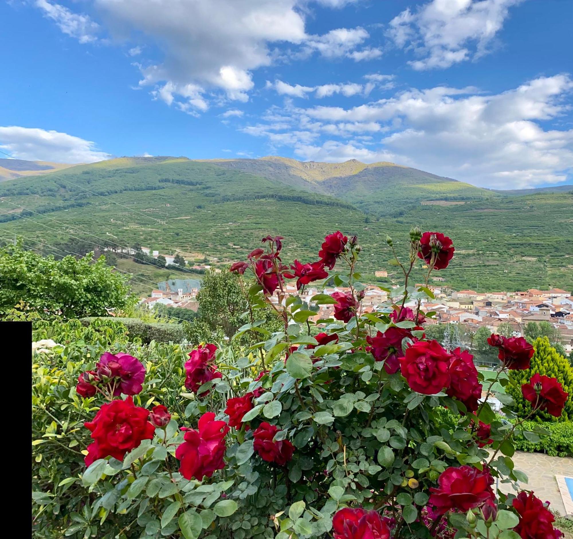 La Vina Villa Navaconcejo Bagian luar foto