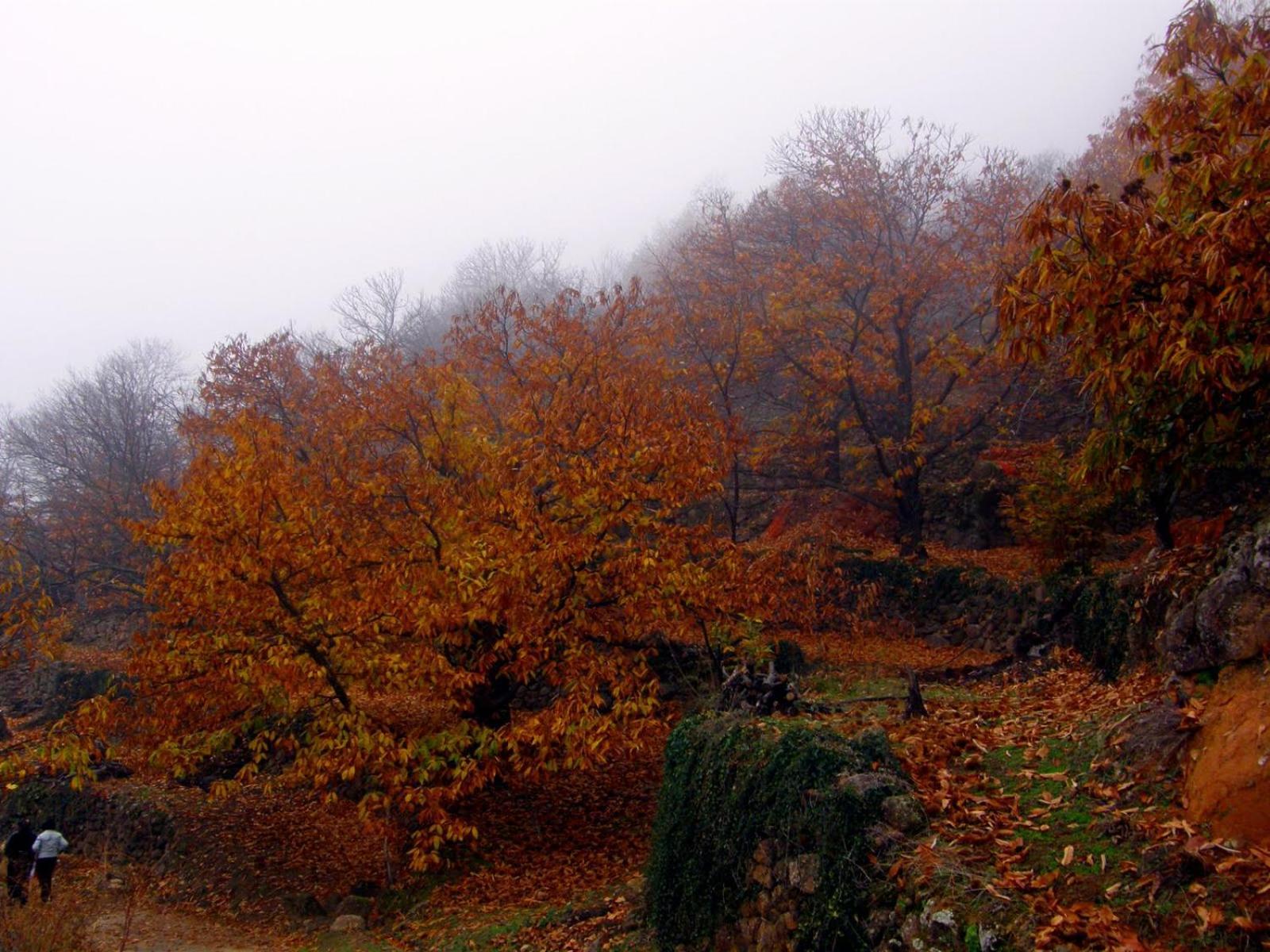 La Vina Villa Navaconcejo Bagian luar foto